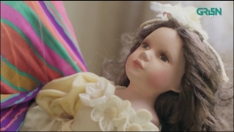 Raaz - Episode 11